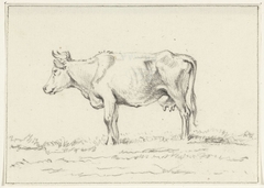 Staande koe, naar links by Jean Bernard