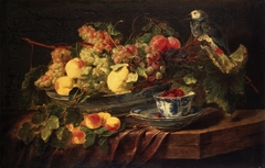 Still Life with Fruit and Parrot by Jan Fyt