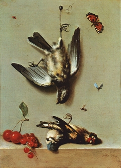 Still Life with Three Dead Birds, Cherries, Redcurrants and Insects