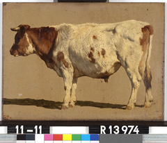 Studie van een roodbonte koe by Johannes Hubertus Leonardus de Haas