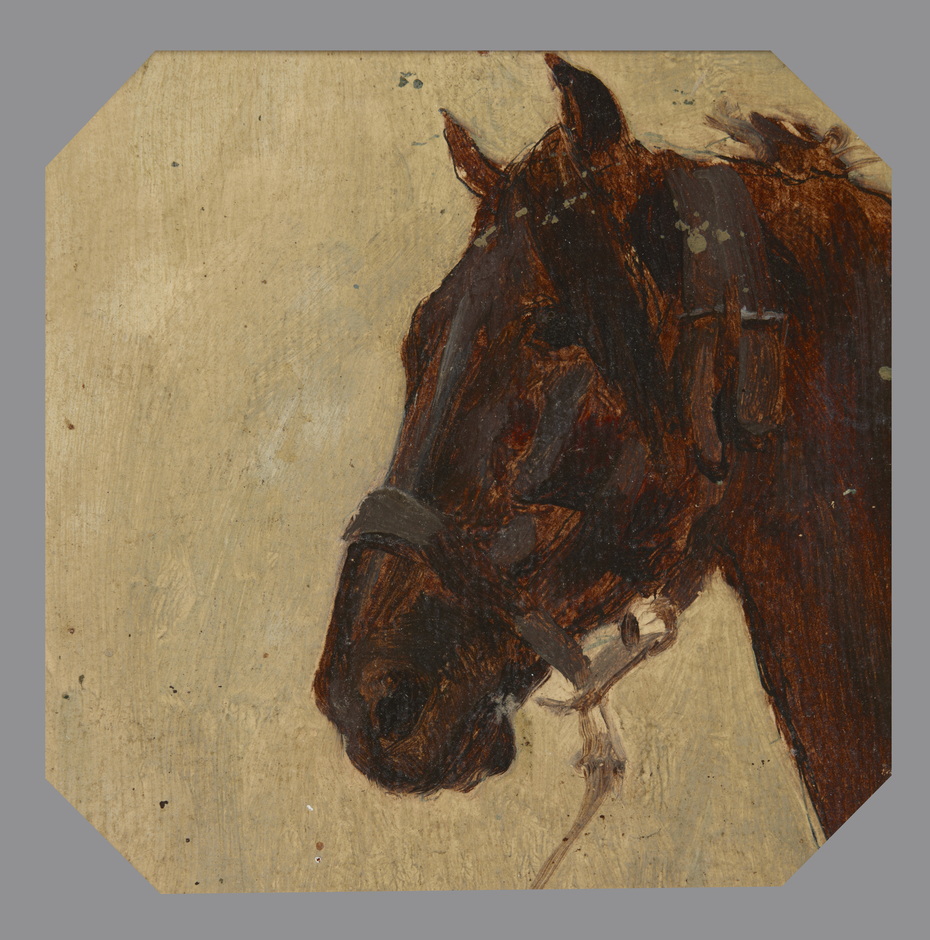 Study of the Horse's Head
