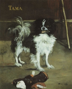 Tama, the Japanese Dog by Edouard Manet