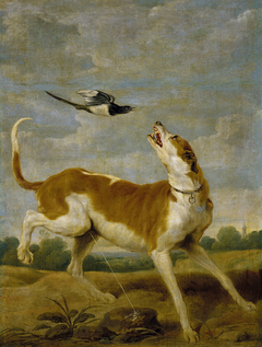 The dog and the magpie