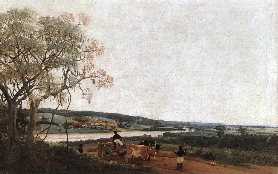 The Ox Cart. Brazilian landscape