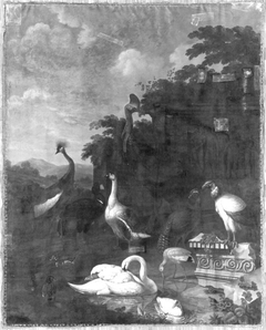 Vögel aus der Menagerie zu Nymphenburg by Johann Michael Schnitzler
