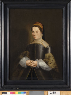 Ysabeau van der Vere. Echtgenote van Rholand de Pottere by Anonymous